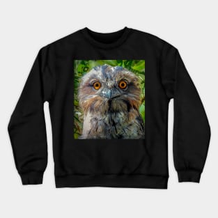 Tawny Frogmouth Chick Crewneck Sweatshirt